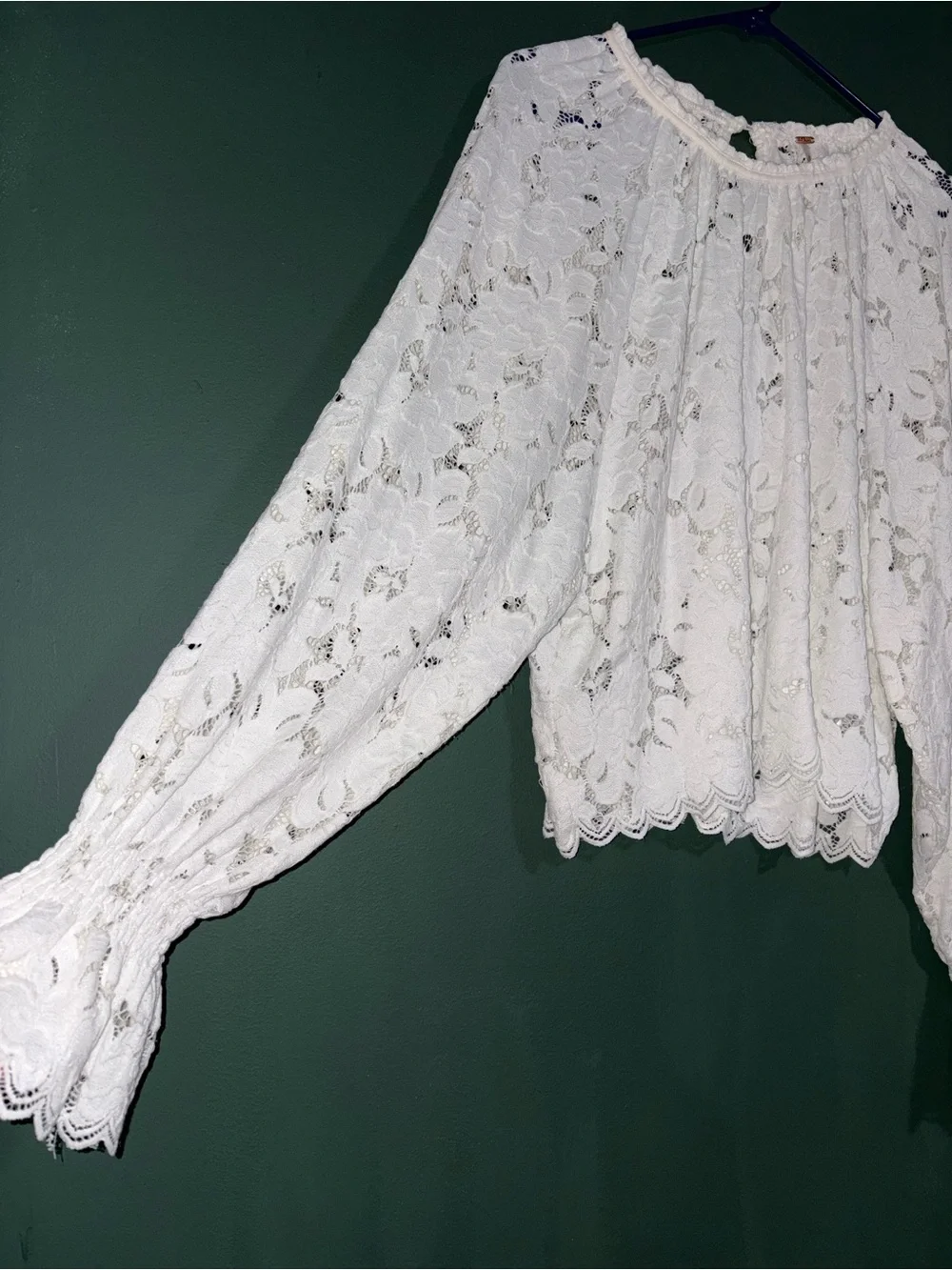Free People Olivia Ivory Sheer Lace Long Sleeve Top